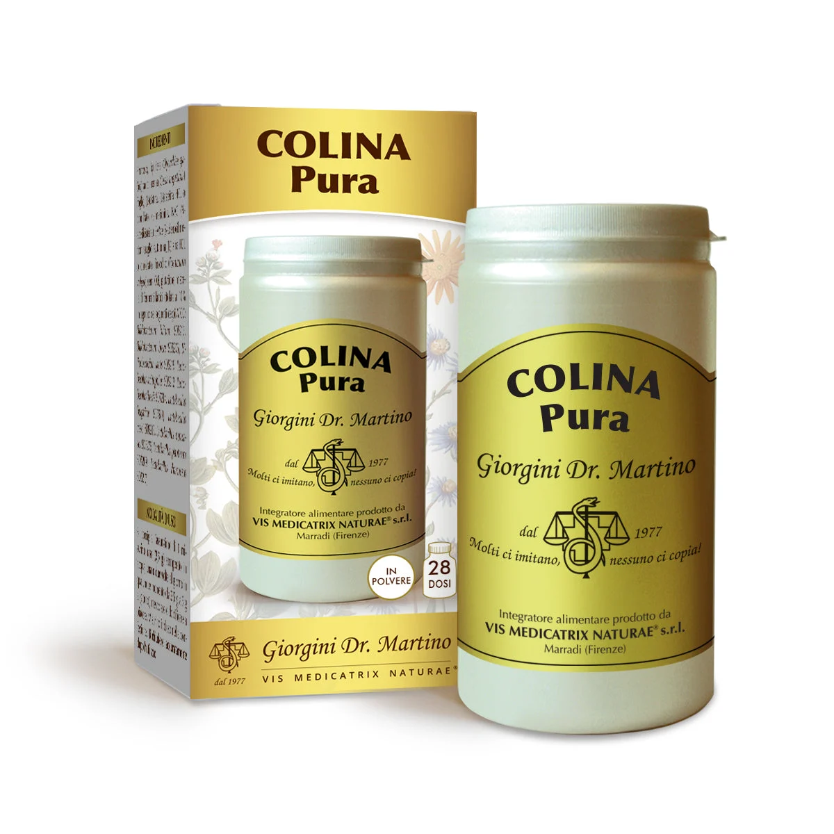 Dr Giorgini colina pura polvere solubile 100 g
