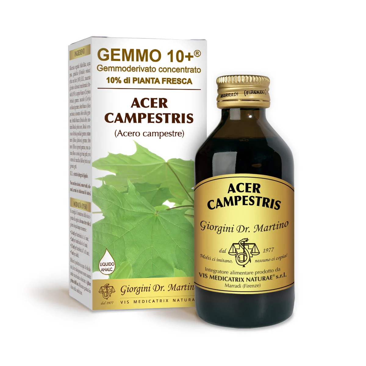Dr Giorgini gemmo 10+ acero campestre 100 ml liquido analcoolico