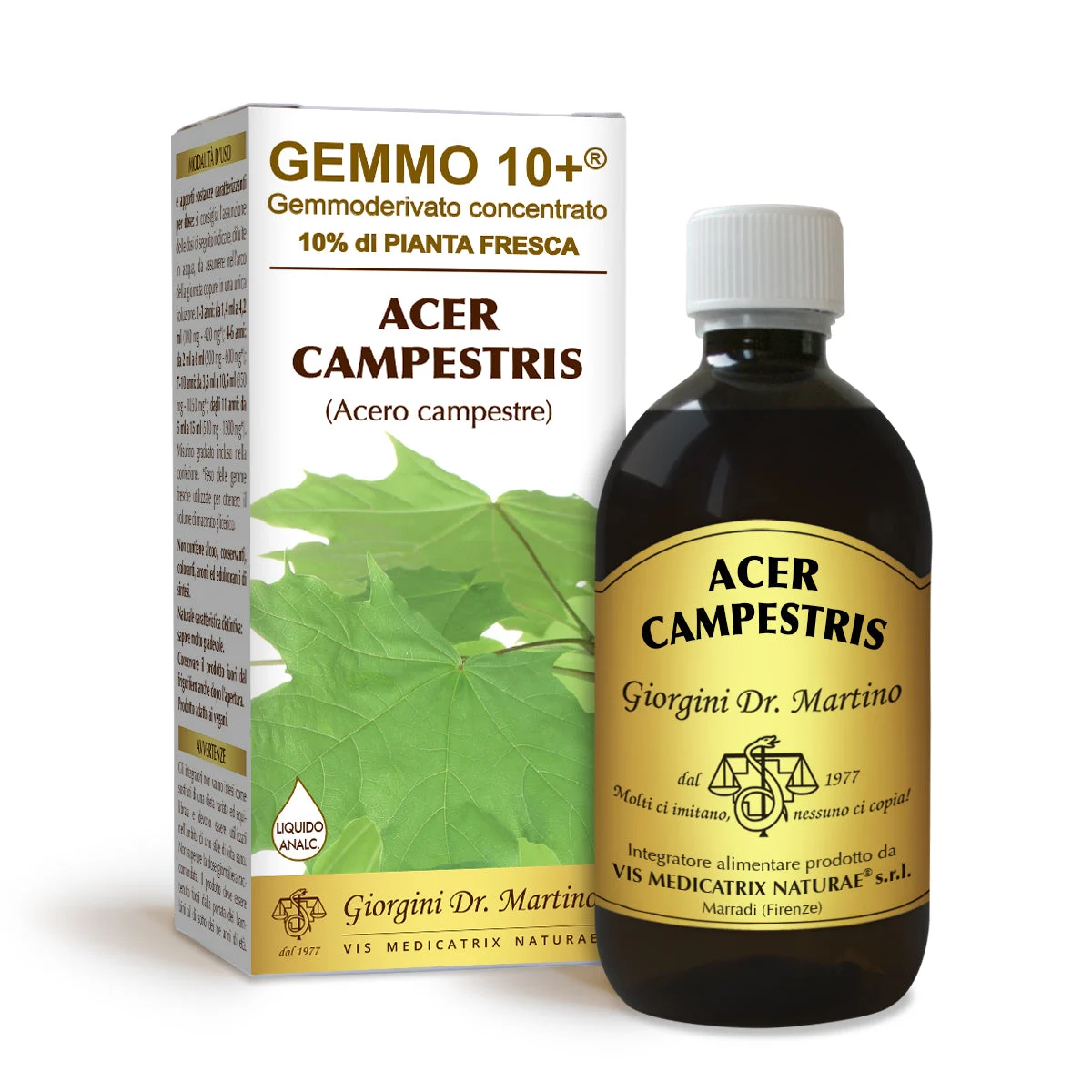 Dr Giorgini gemmo 10+ acero campestre 500 ml liquido analcoolico
