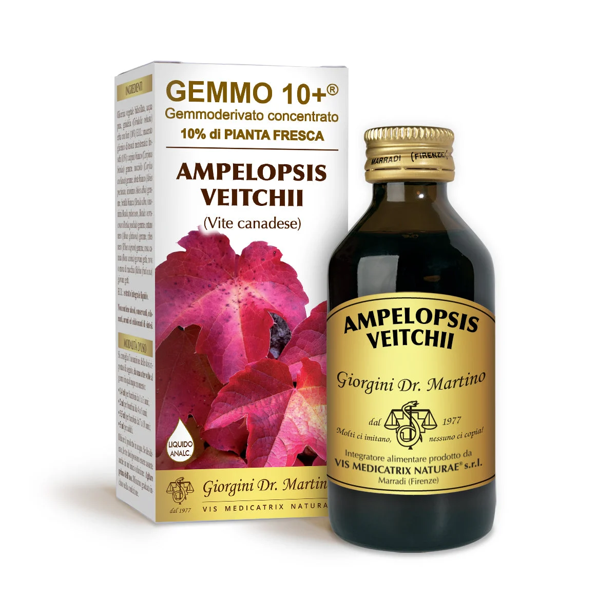 Dr Giorgini gemmo 10+ vite canadese 100 ml liquido analcoolico
