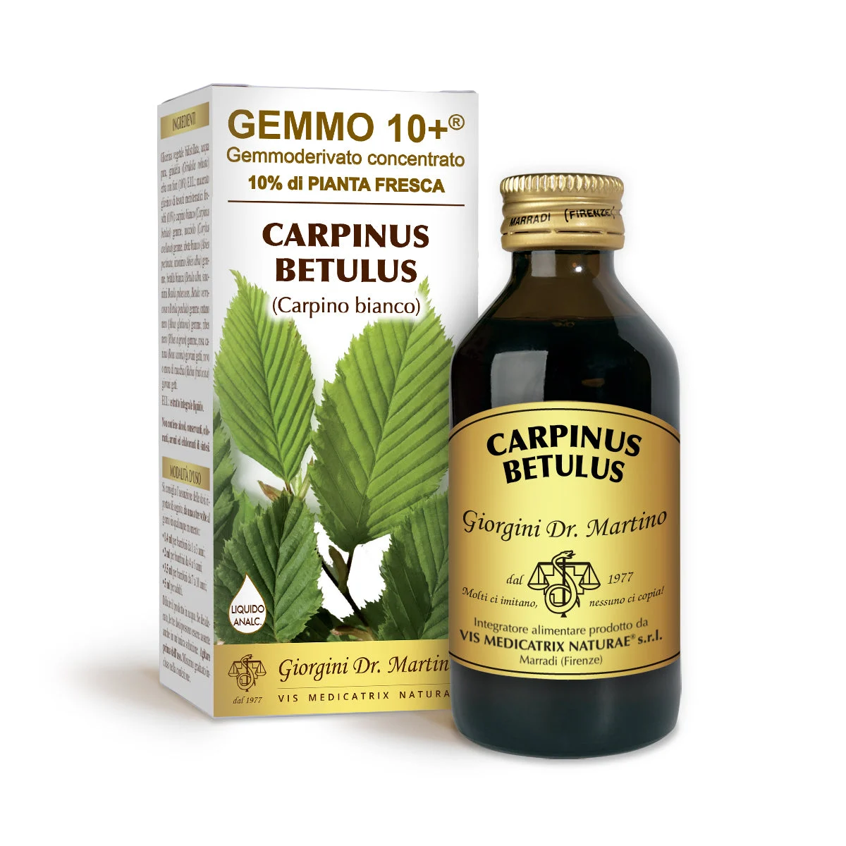 Dr Giorgini gemmo 10+ carpino bianco 100 ml liquido analcoolico
