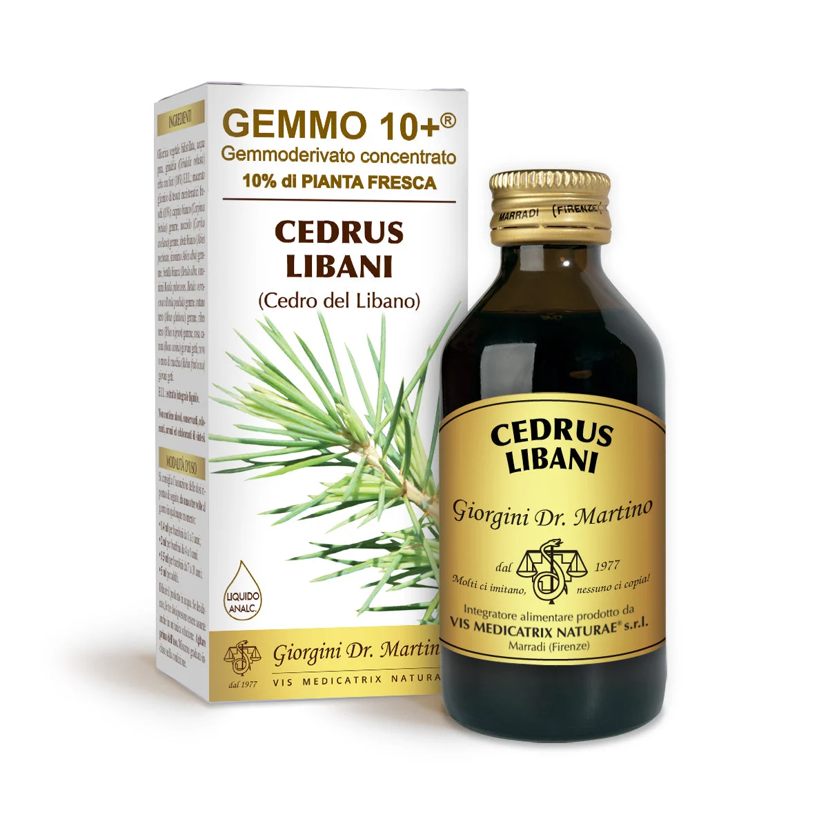 Dr Giorgini gemmo 10+ cedro del libano 100 ml liquido analcoolico