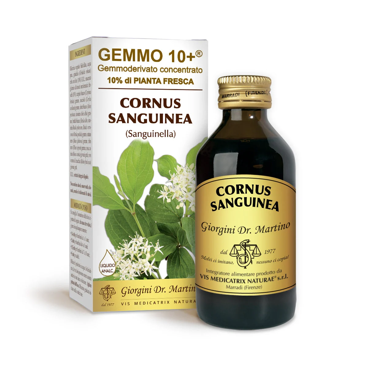 Dr Giorgini gemmo 10+ sanguinella 100 ml liquido analcoolico