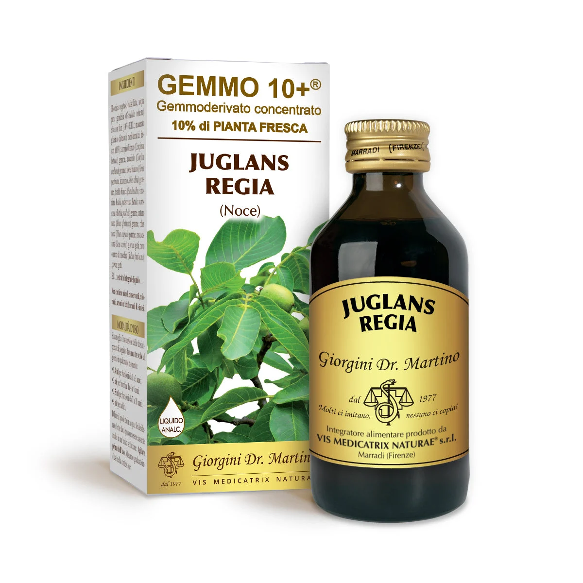 Dr Giorgini gemmo 10+ noce 100 ml liquido analcoolico