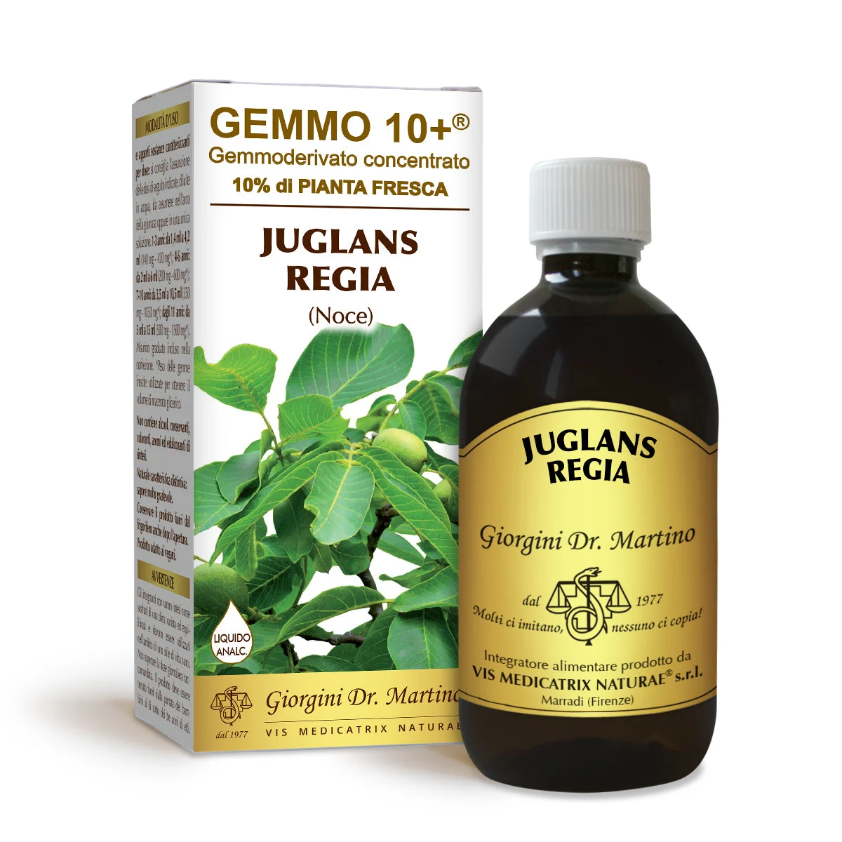 Dr Giorgini gemmo 10+ noce 500 ml liquido analcoolico