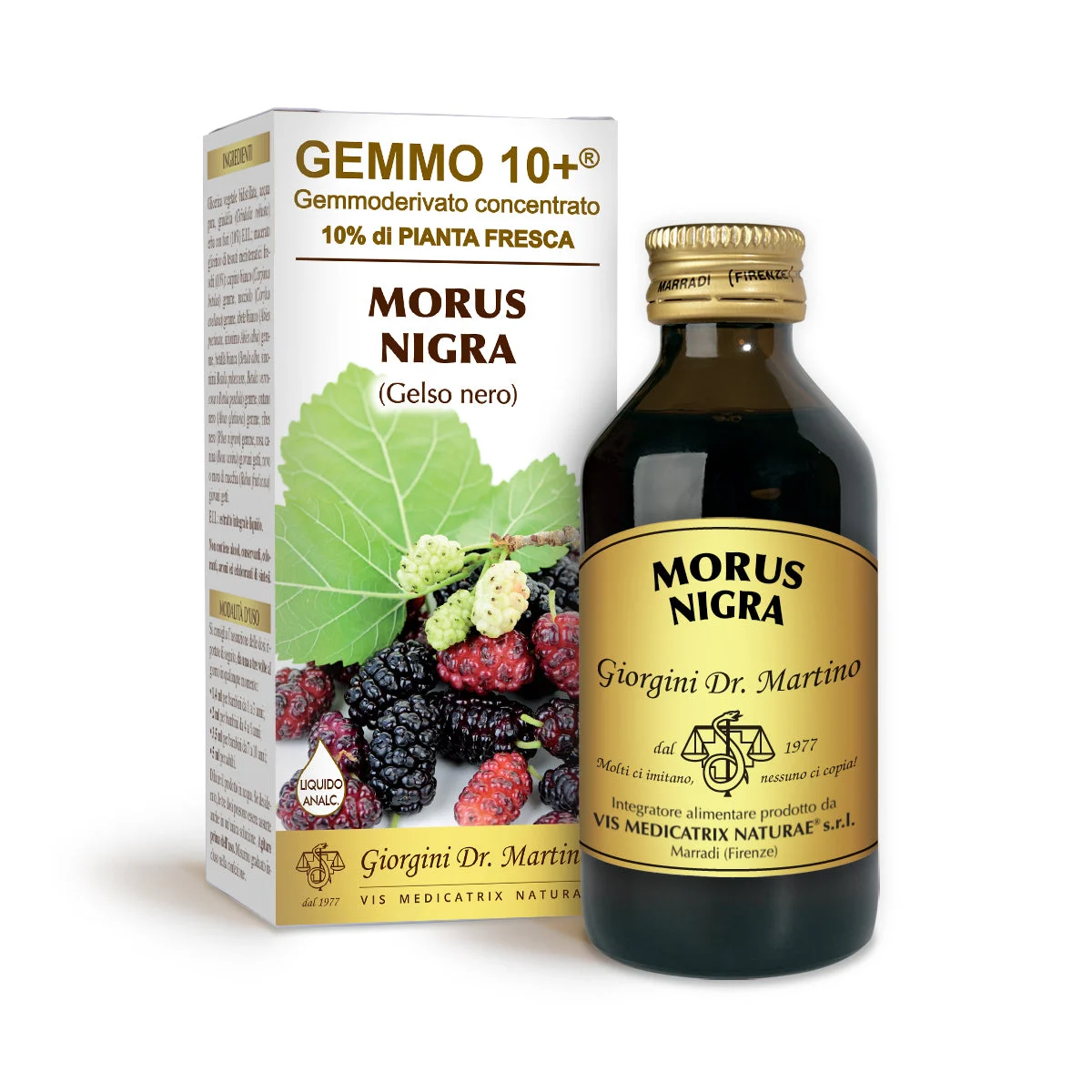 Dr Giorgini gemmo 10+ gelso nero 100 ml liquido analcoolico