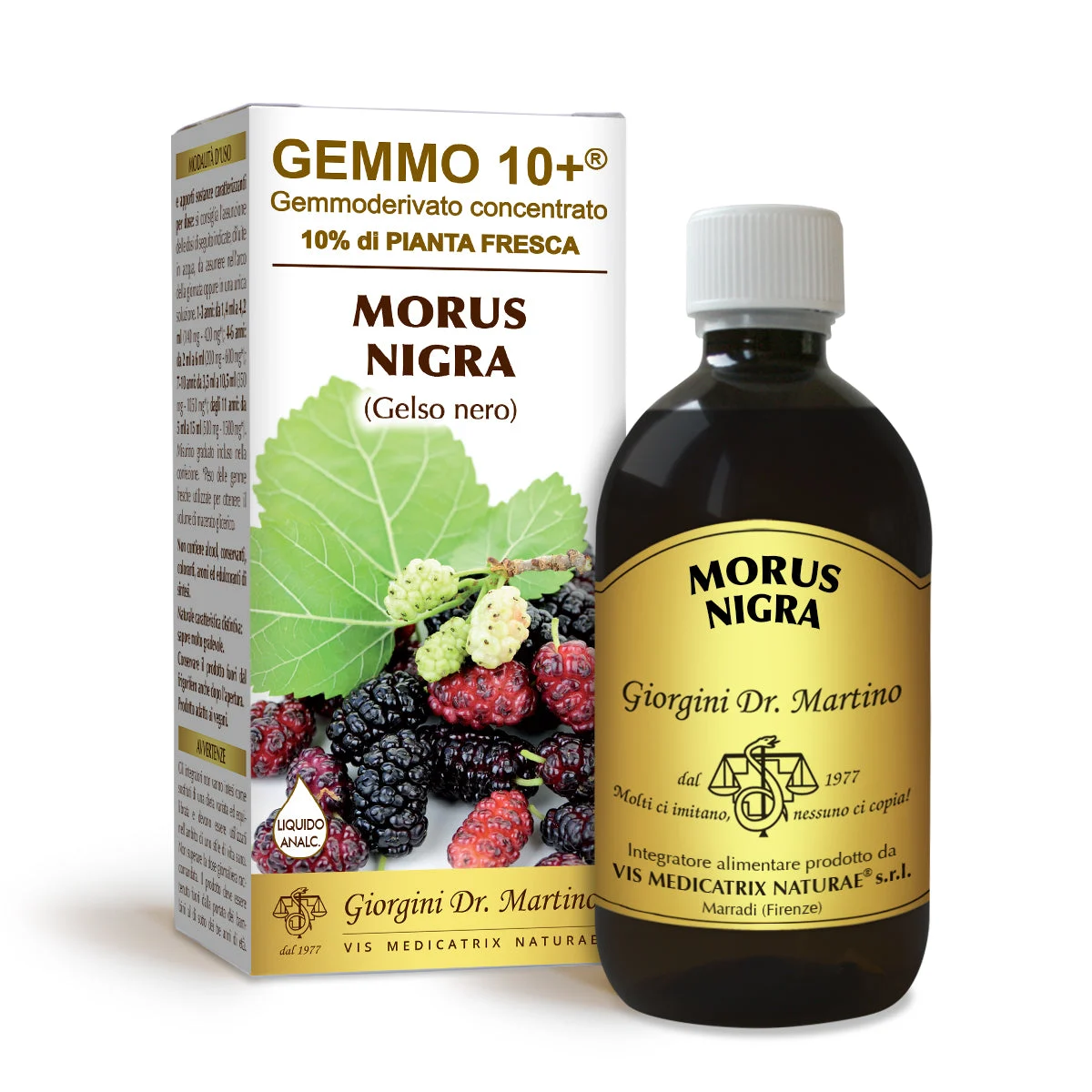 Dr Giorgini gemmo 10+ gelso nero 500 ml liquido analcoolico