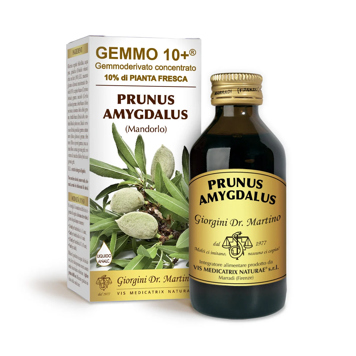 Dr Giorgini gemmo 10+ mandorlo 100 ml liquido analcoolico