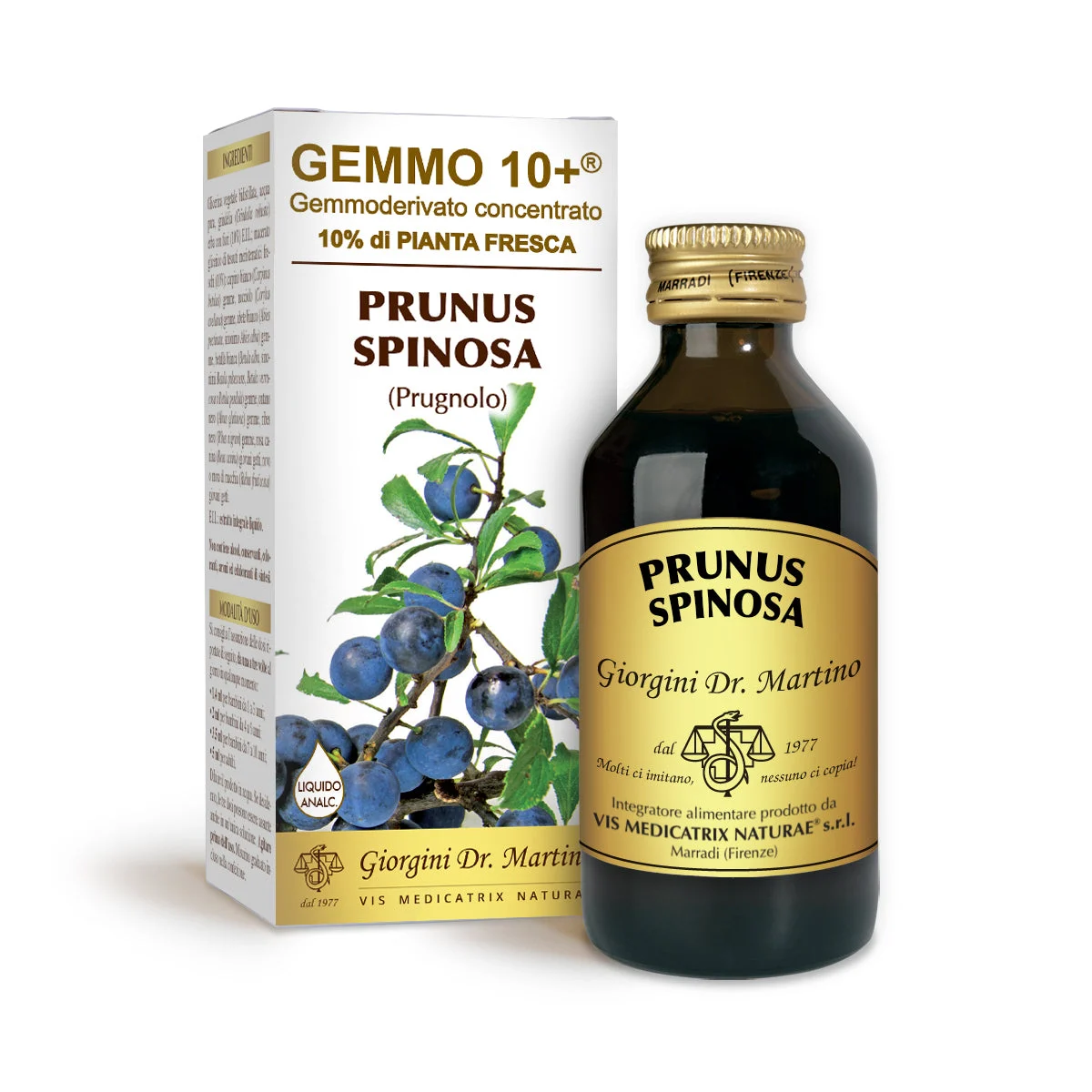 Dr Giorgini gemmo 10+ prugnolo 100 ml liquido analcoolico