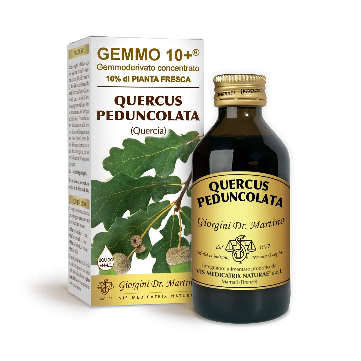 Dr Giorgini gemmo 10+ quercia 100 ml liquido analcoolico