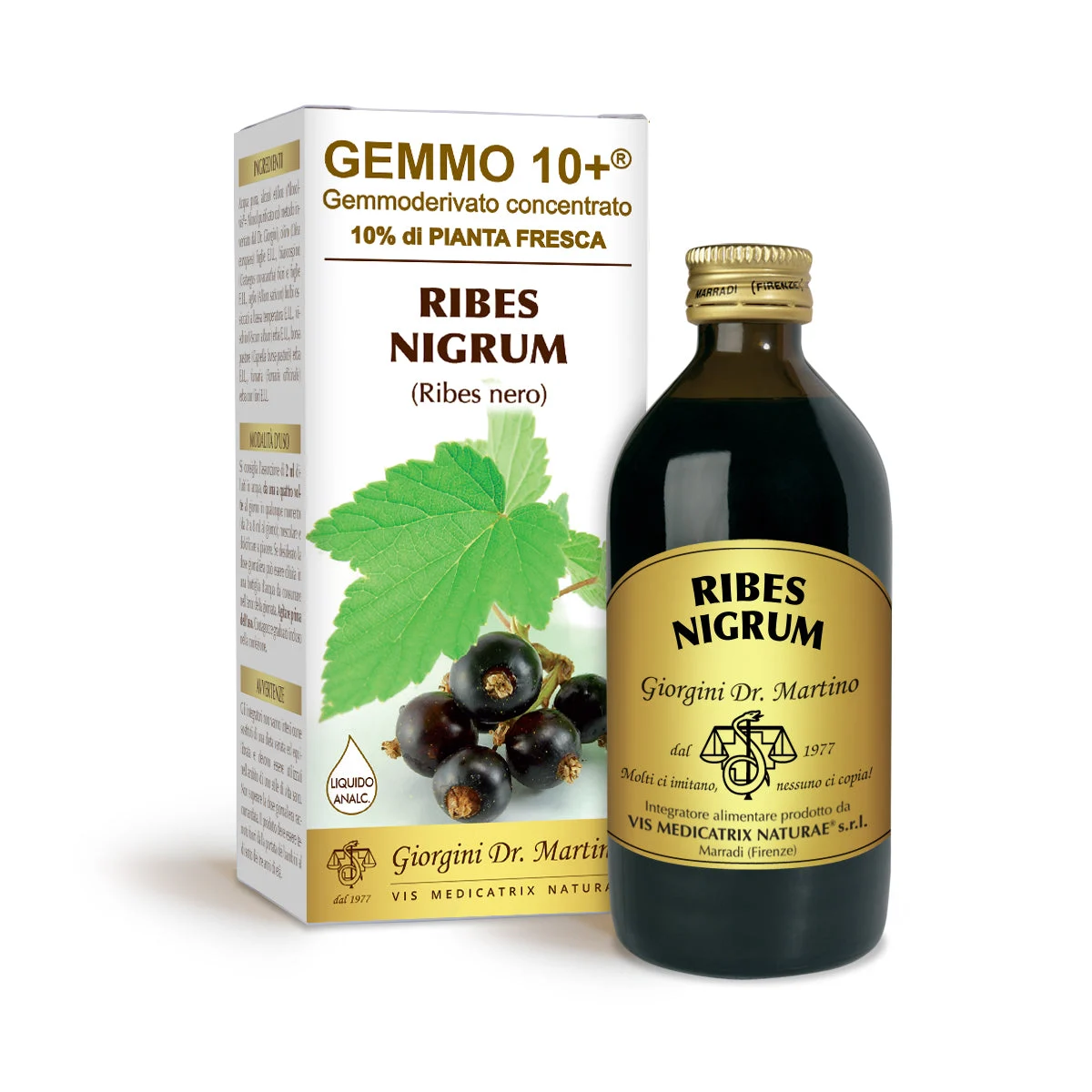 Dr Giorgini gemmo 10+ ribes nero 200 ml liquido analcoolico