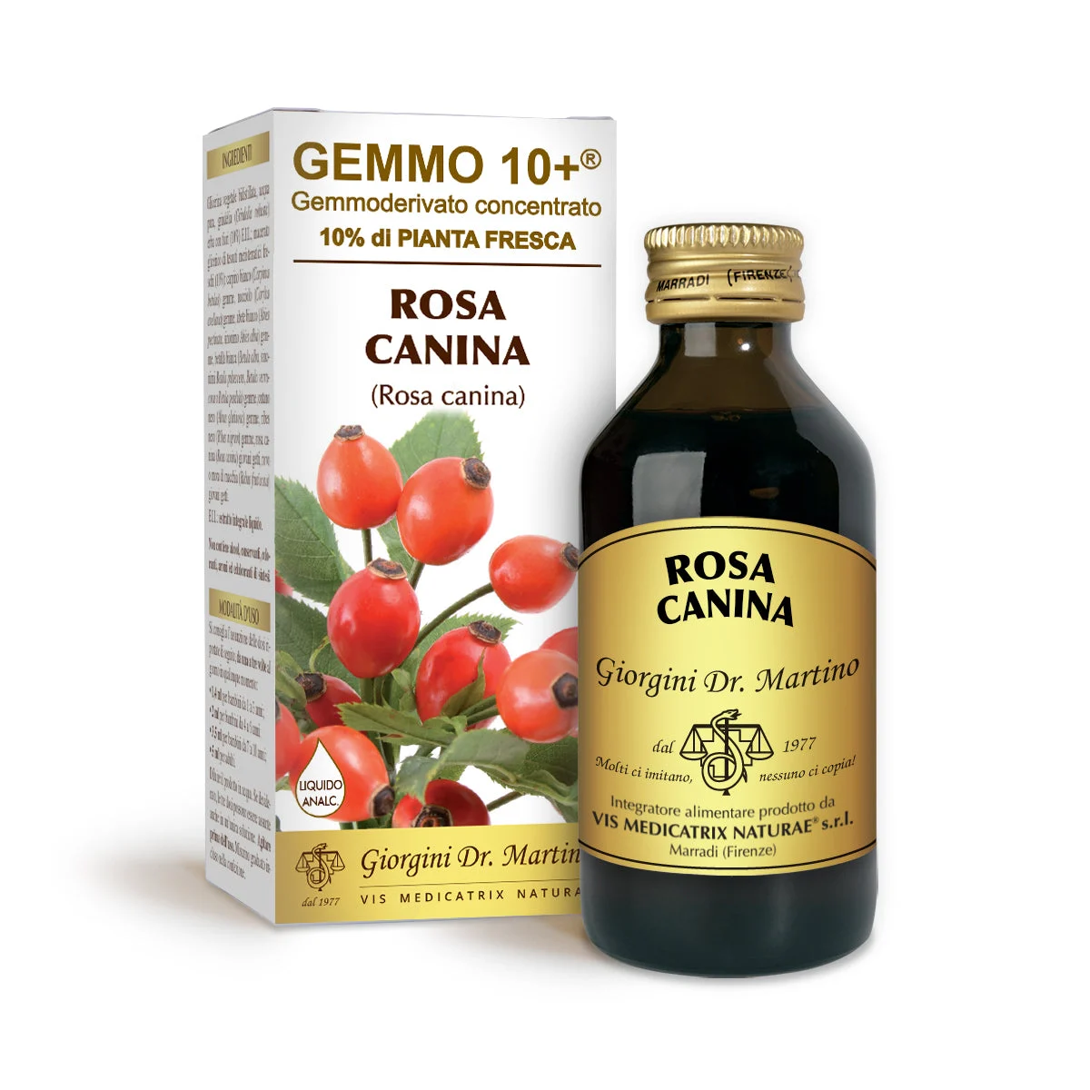 Dr Giorgini gemmo 10+ rosa canina 100 ml liquido analcoolico