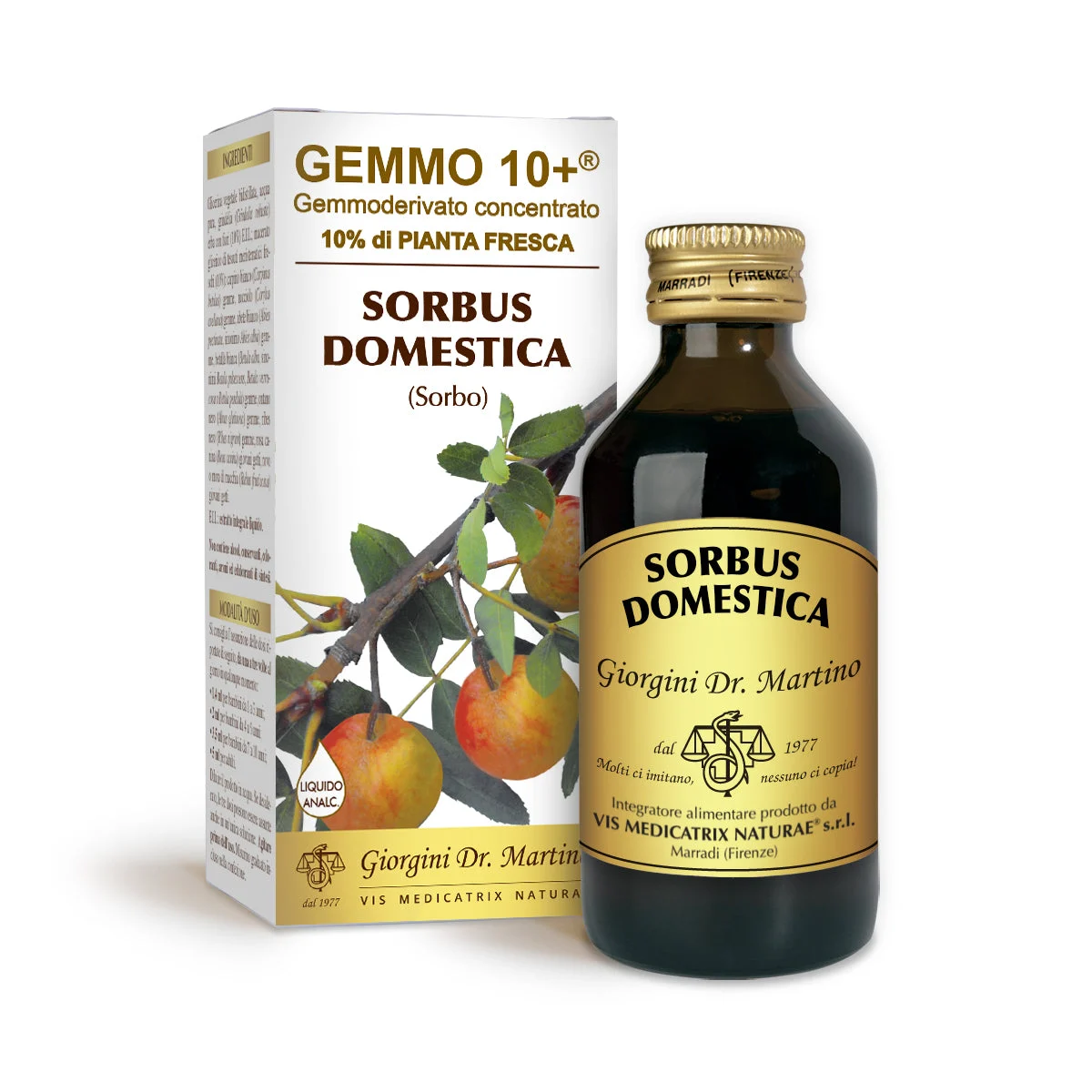 Dr Giorgini gemmo 10+ sorbo 100 ml liquido analcoolico