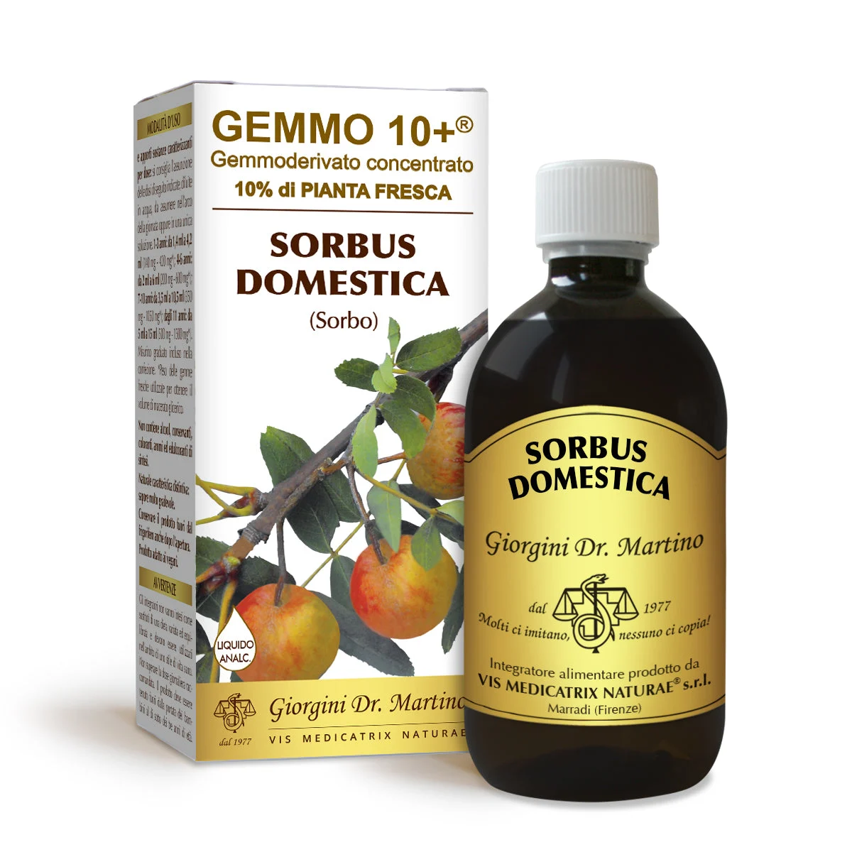 Dr Giorgini gemmo 10+ sorbo 500 ml liquido analcoolico