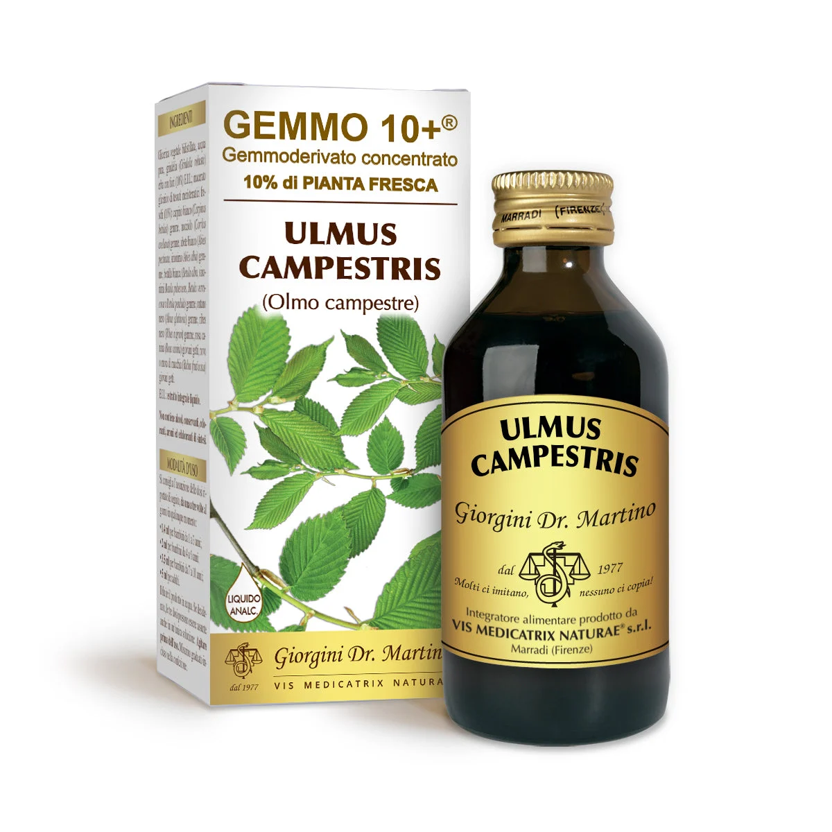 Dr Giorgini gemmo 10+ olmo campestre 100 ml liquido analcoolico