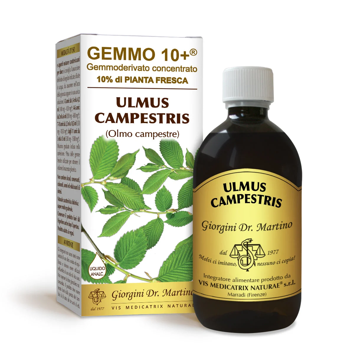 Dr Giorgini gemmo 10+ olmo campestre 500 ml liquido analcoolico