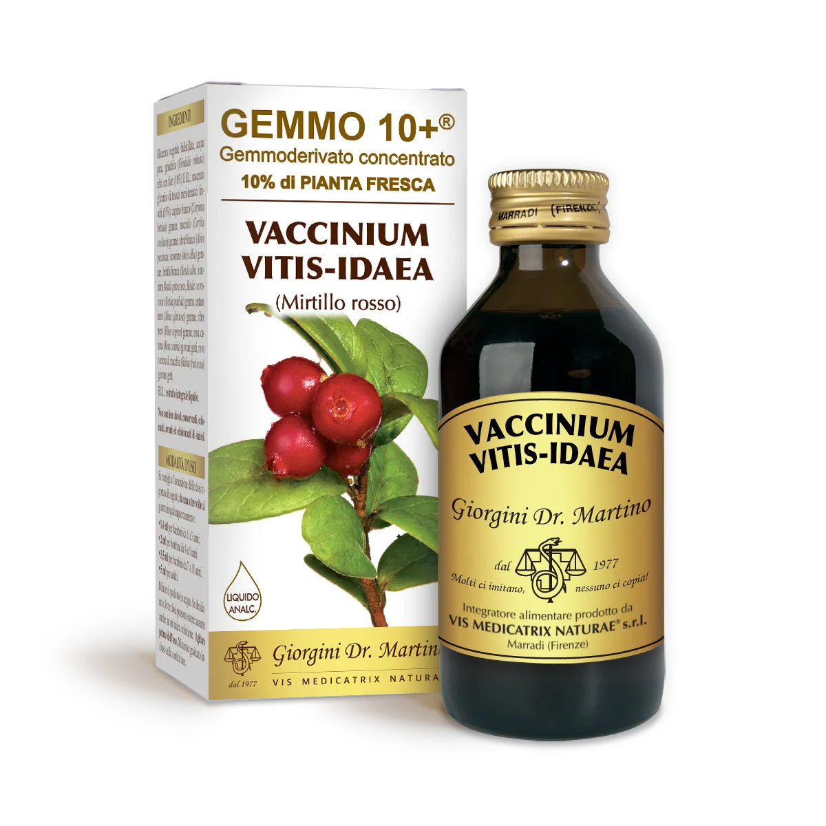 Dr Giorgini gemmo 10+ mirtillo rosso 100 ml liquido analcoolico