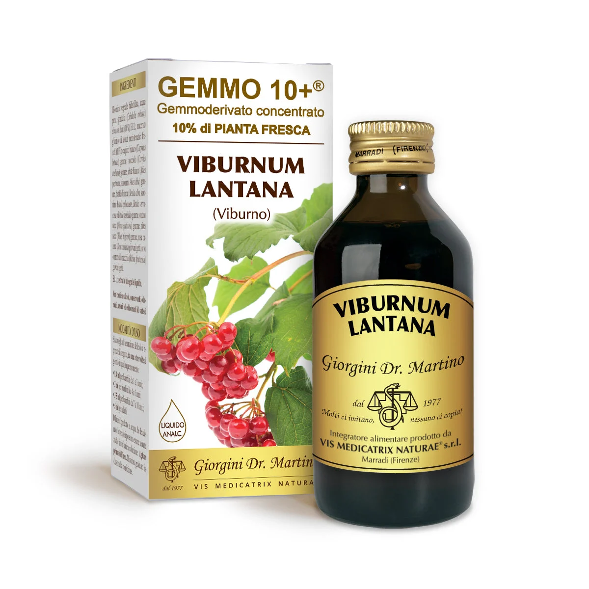 Dr Giorgini gemmo 10+ viburno 100 ml liquido analcoolico