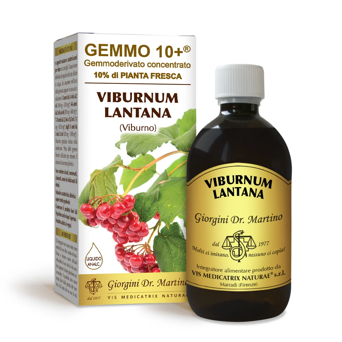 Dr Giorgini gemmo 10+ viburno 500 ml liquido analcoolico