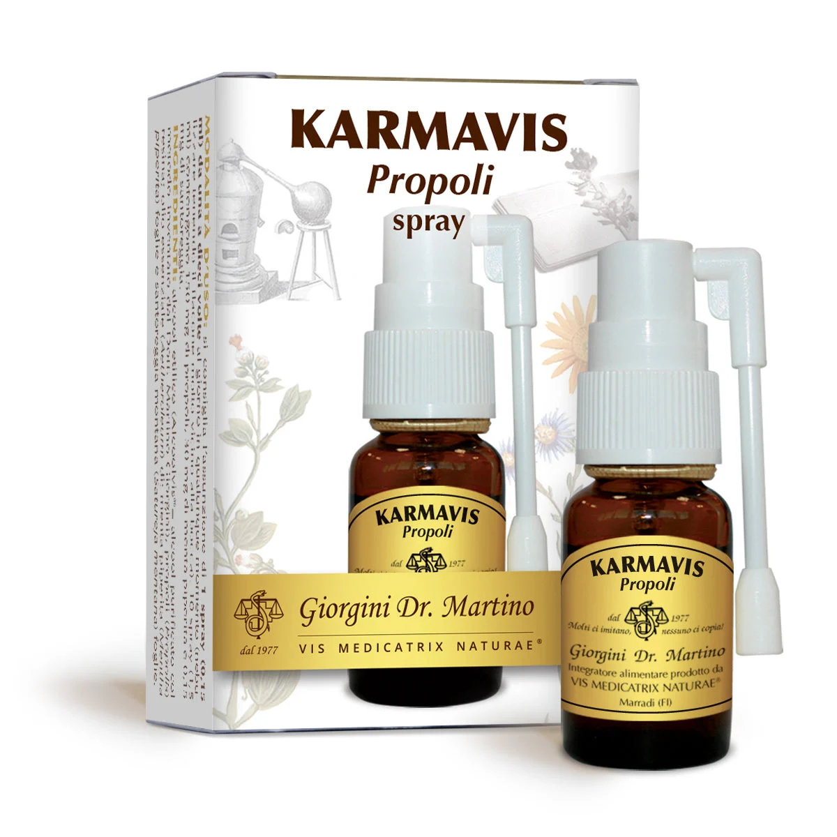 Dr Giorgini Karmavis Propoli Liquido alcoolico spray 15 ml