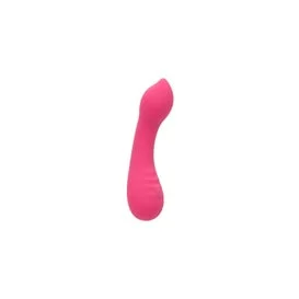 CalExotics Pixies Teaser Rosa 1 Unità