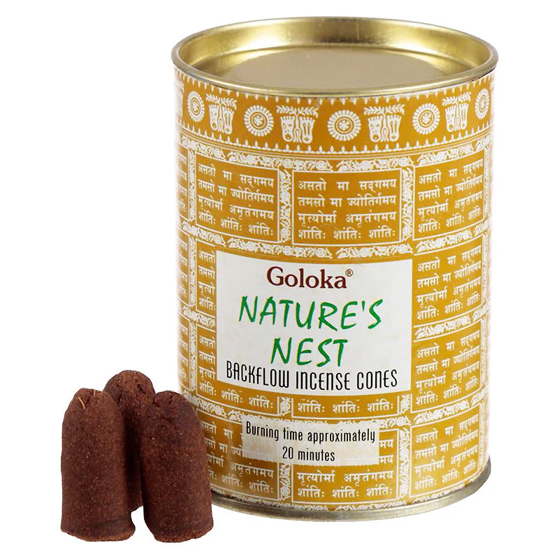 Nido della Natura - Coni Riflusso - Goloka - 24pz