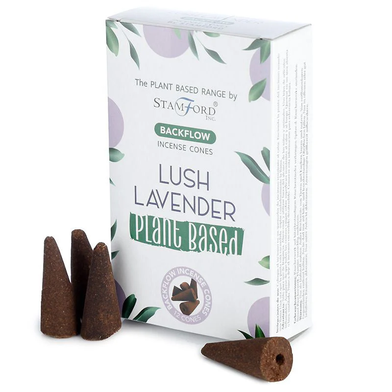 Lavanda Rigogliosa - Coni Riflusso - Stamford - 12pz