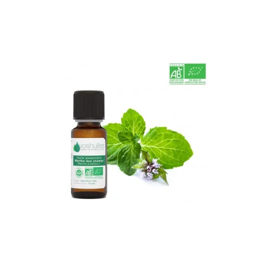 Voshuiles Olio Essenziale Biologico di Menta Speziata 10ml