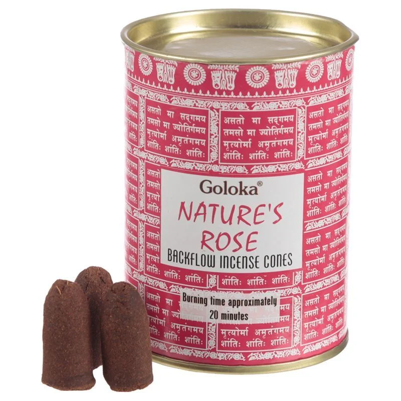 Rosa Naturale - Coni Riflusso - Goloka - 24pz