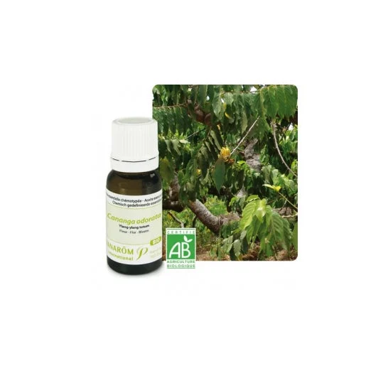 Olio essenziale di Pranarôm Ylang-Ylang Totum 5ml