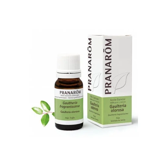 Pranarôm olio essenziale di Wintergreen ORGANICO 10ml