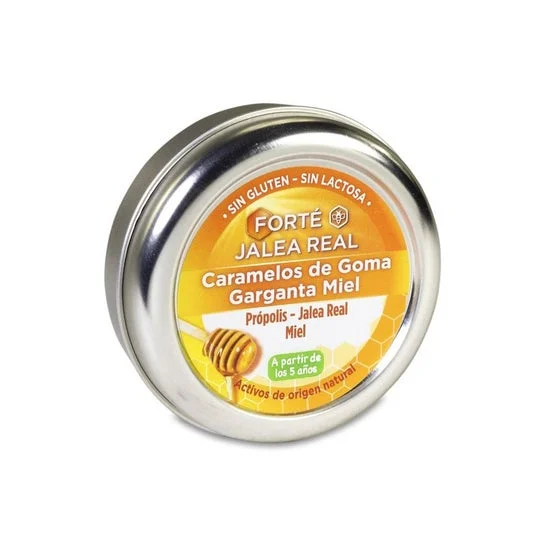 Forte Dolci al miele Gum 45Gr Forte Gum