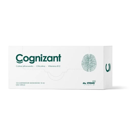 Mc Stone Italia Cognizant 10uds