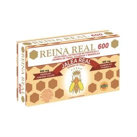 Robis Royal Queen 600 20 fiale