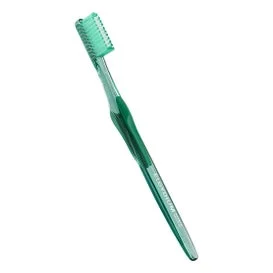 Pennello in egydium ents Vitale Colore Mdio ammaccature Vitale