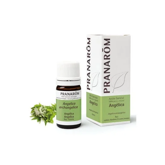 PranarÌm Olio essenziale Angelica 5 Ml