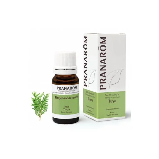 PranarÌm Tuya Rama olio essenziale 10 ml