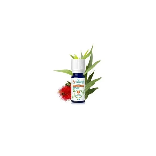 Olio Essenziale Eucalipto Rad