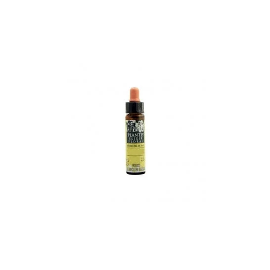 Plantis 38 Willow 10ml
