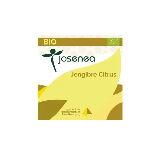 Josenea zenzero agrumi bio scatola 15 piramidi