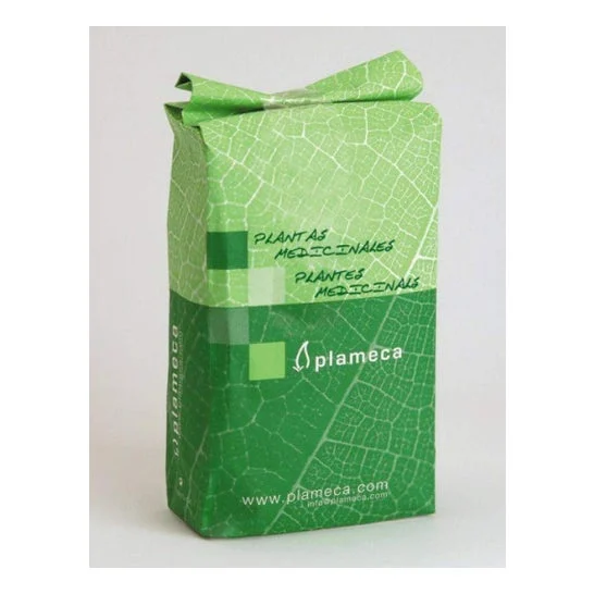 Plameca Thyme Herb Extra Enter 1Kg