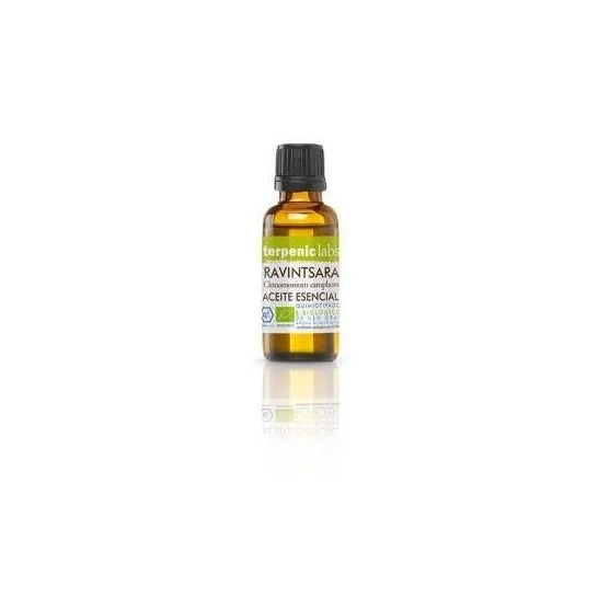 Essenza Terpenica Ravintsara Bio 30ml