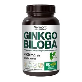Vermont Supplements Ginkgo Biloba 60+30caps