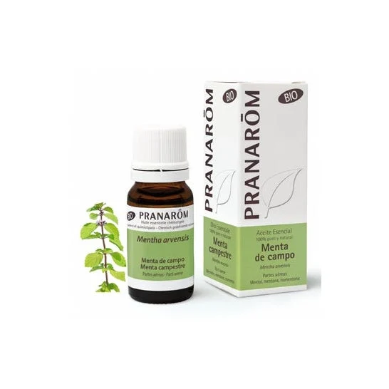 PranarÌm olio essenziale di menta piperita biologico 10ml