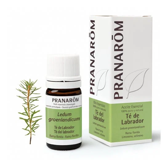 PranarÌm Olio di tè al labrador 5ml
