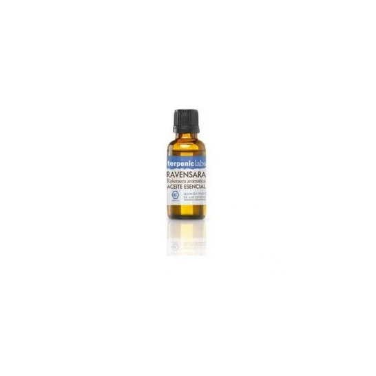 Terpenic Labs Ravensara 30ml
