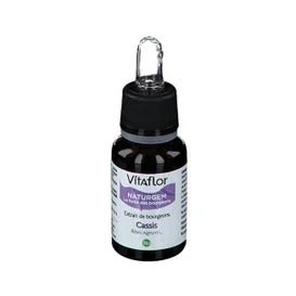 Vitaflor Bio Ribes Nero Estratto di gemme di ribes nero 15ml