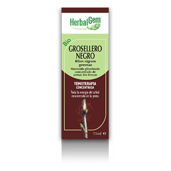 Herbalgem Ribes Nero Bio 15ml