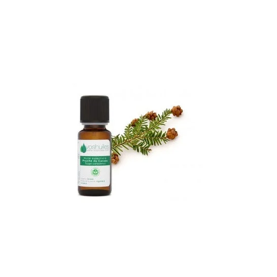 Voshuiles Olio essenziale di cicuta canadese (Tsuga) 5ml