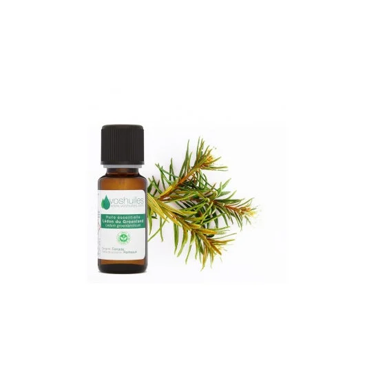 Voshuiles Olio essenziale di Ledon della Groenlandia 5ml